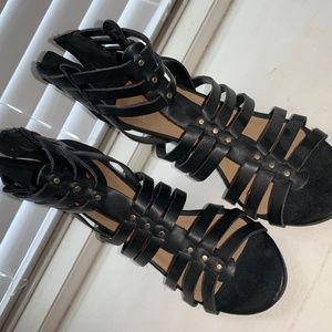 Elegant Black Booties
